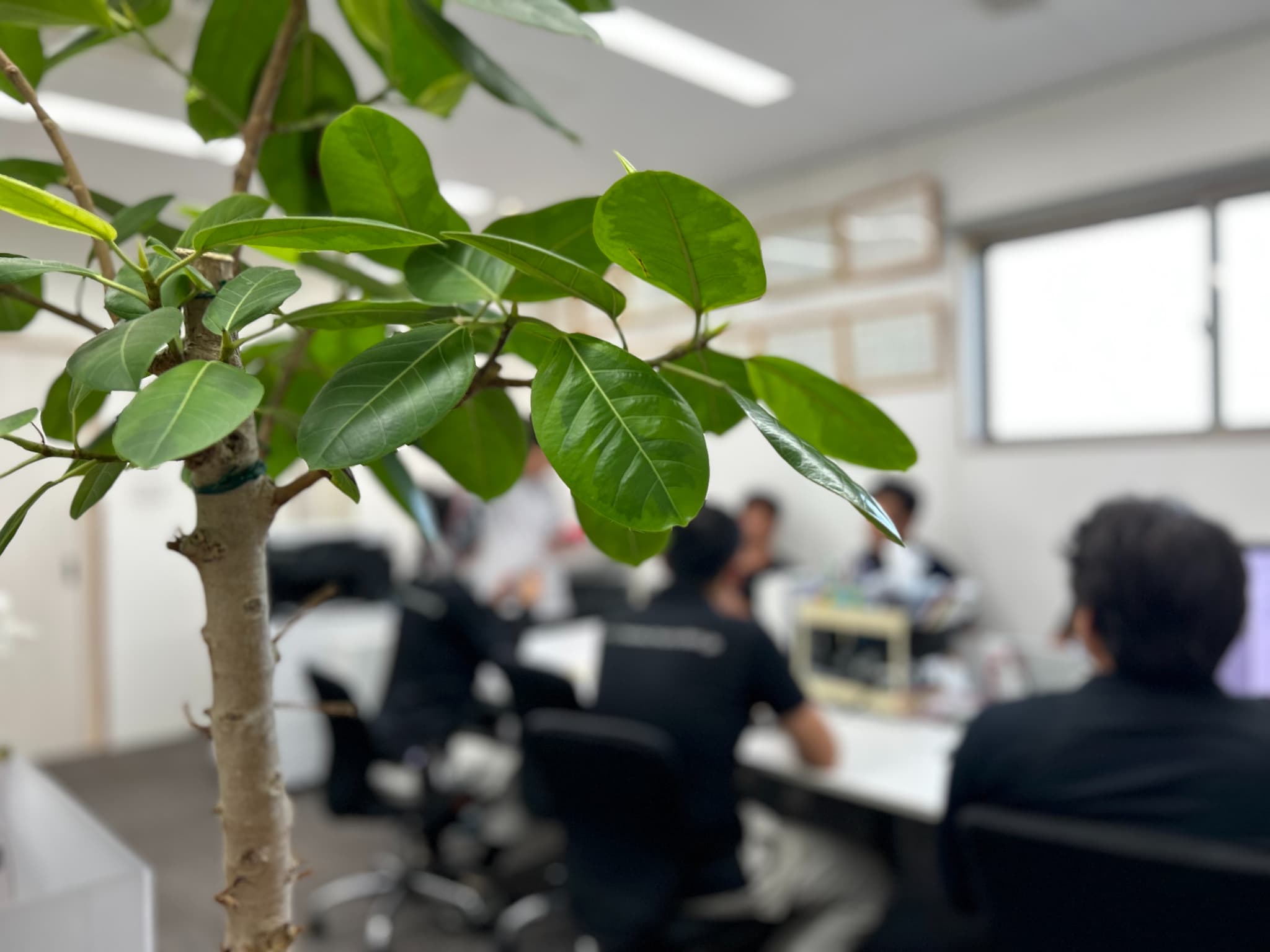 8月の安全衛生協議会の画像